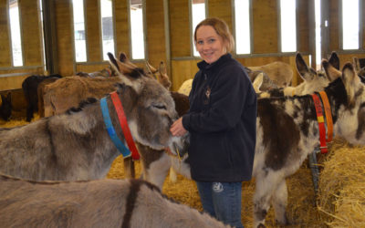 Case study: leadership in The Donkey Sanctuary – making a difference!