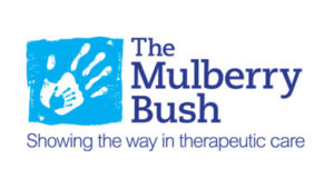 Mulberry Bush Organisation